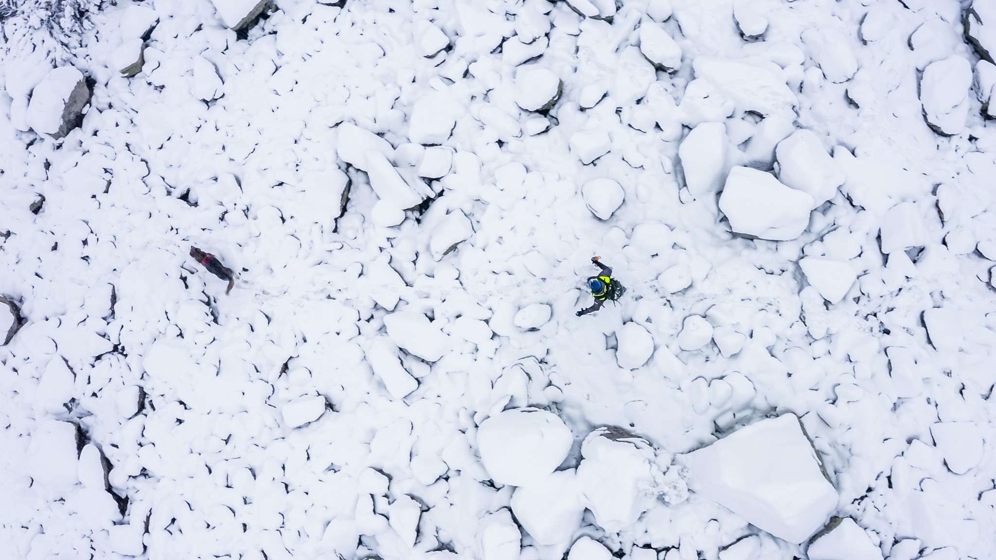 kynologicka rallye memorial stefana zavackeho 